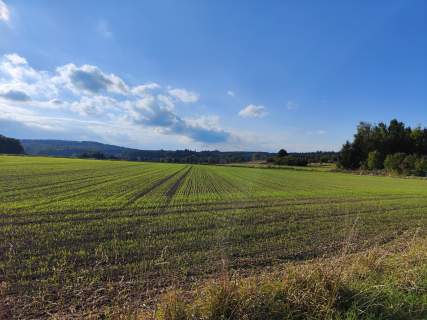 Piękna działka budowlana Myślinów 10 ar blisko Jawora