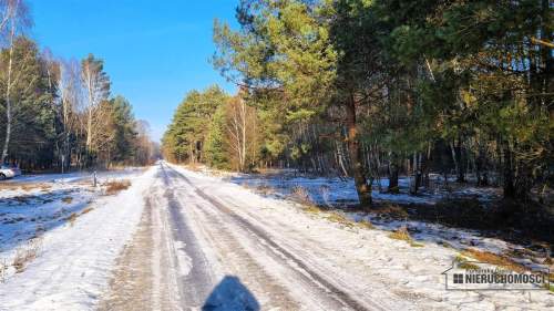 Cisza, las i jezioro   działka budowlana