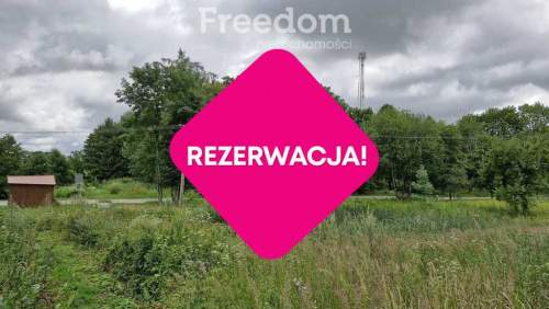 Działka 5 710 m przestrzeń i natura