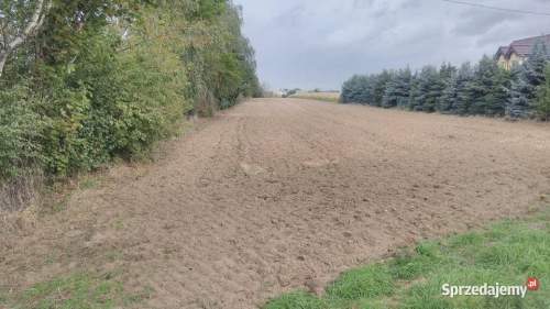 Sprzedam dużą działkę w Jaraczewie woj. wielkopolskie