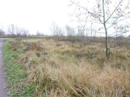 DZIAŁKA 1148 M2,GM.DOBRA