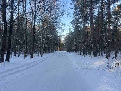 Działka na nowym osiedlu wśród lasu