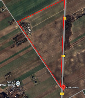 Działka rolna 1,5 ha Kolechowice