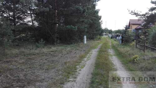 Działka przy ścianie lasu