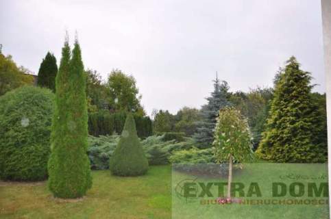 1,5 ha w Łobzie 