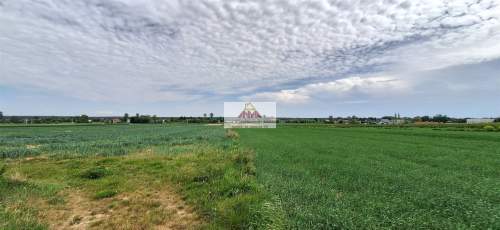 Działka rolna na sprzedaż, 3000 m2, Lublin