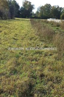 Działka budowlana na sprzedaż, 1135 m2, Budy-Grzybek