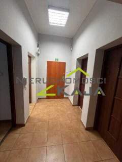 lokal w centrum miasta - do wynajęcia