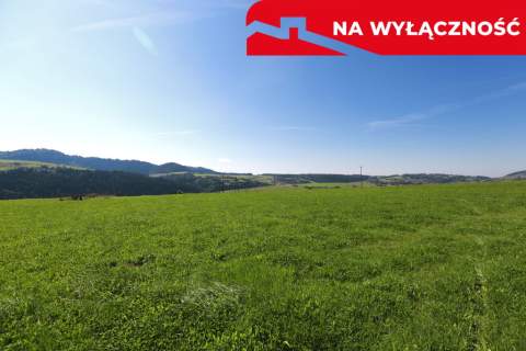 Działka w Grywałdzie 1,1003 ha warunki zabudowy