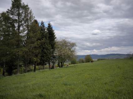 Żywiec - działka z widokiem na jezioro