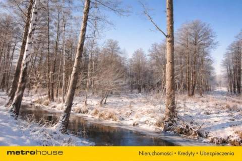 Slow life natura-działka budowlana nad Rawką,913m2