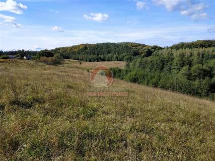 11 ha KLONOWO DOLNE -zabudowa mieszkaniowa