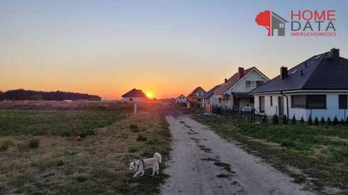 Białężyn k.Murowanej Gośliny - działka pod domek