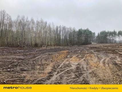 Top lokalizacja S17 4,7 ha pod centrum logistyczne
