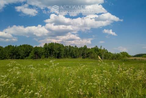 Działka Janowicze Kolonia 3000m2