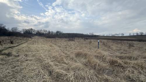 Warunki zabudowy, prąd, woda.