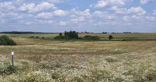 Działki budowlane w sercu Borów Tucholskich