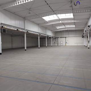Magazyn do wynajęcia, 1242 m2, Katowice