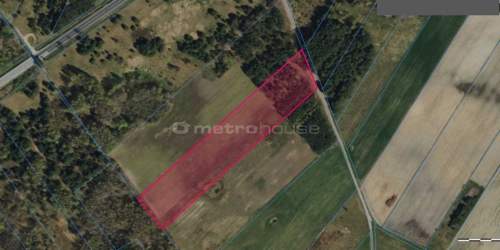 Działka na sprzedaż, 15000 m2, Blinno