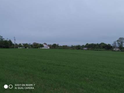 Czernin uzbrojona działka budowlana o pow. 1620 m2