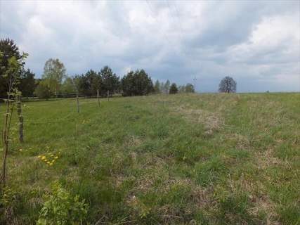 Działka blisko jeziora Mazury