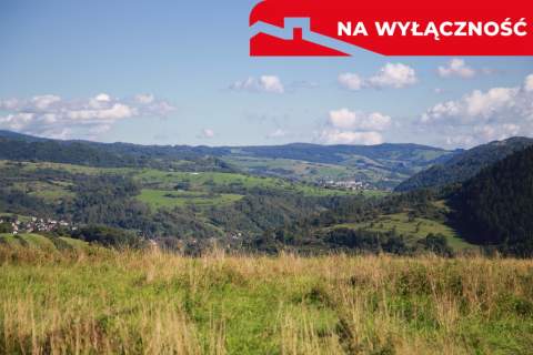 Działka w Grywałdzie 1,1003 ha warunki zabudowy