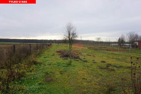 Niewielki dom na działce 0,18 ha w Zagórzu