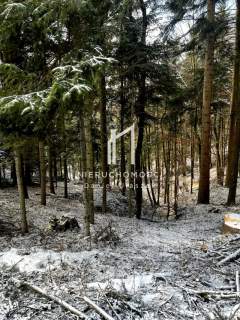 DUŻY LAS 100-LETNI, PIETRUSZA WOLA, GM. WOJASZÓWKA, 3,46HA