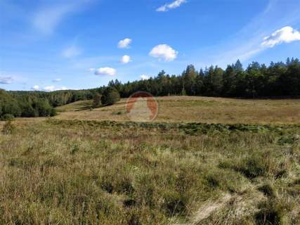 11 ha KLONOWO DOLNE -zabudowa mieszkaniowa
