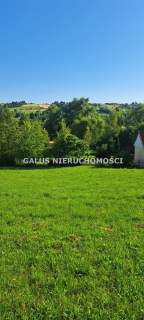 Działka rolna 2,5200 HA i gospodarstwo