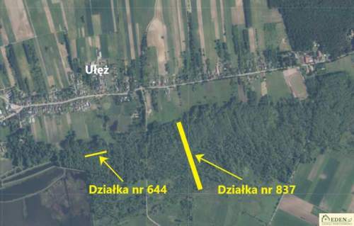 Sprzedam Działki Leśne we wsi Ułęż