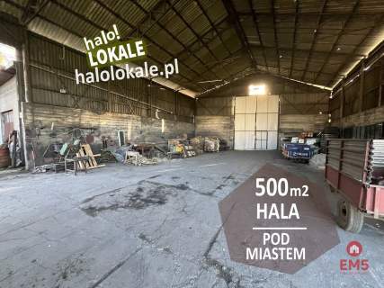Hala pod miastem