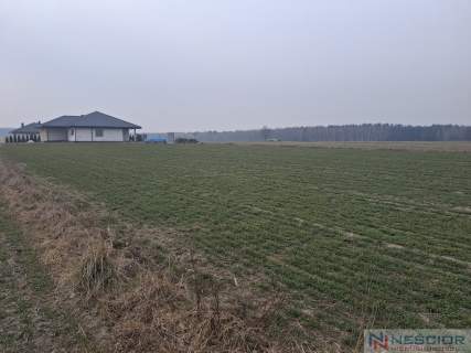 Działka budowlana 1000 m w Boroszkowie