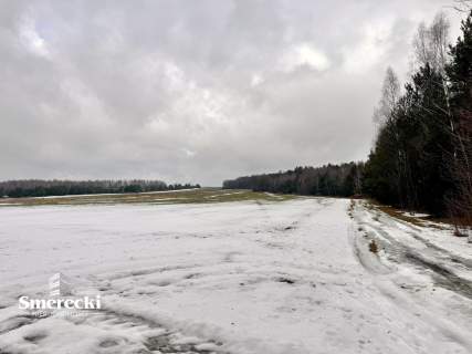 Działka budowlane w otulinie lasu