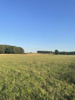 Działka z warunkami zabudowy na Mazurach