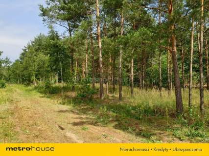 Działka na sprzedaż, 15000 m2, Blinno
