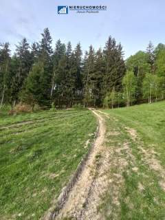Działki inwestycyjno-budowlane Duszniki-Zdrój, SKI