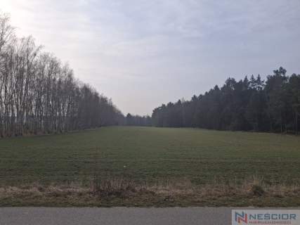 Dwie działki budowlane po 1000 m w Boroszkowie