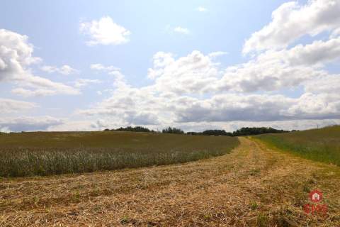 Działka rolno-budowlana Garbas II 5,5 ha