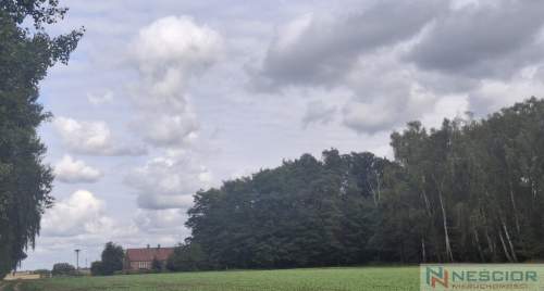Siedlisko/ Nowy Ratyniec/ Sokołów