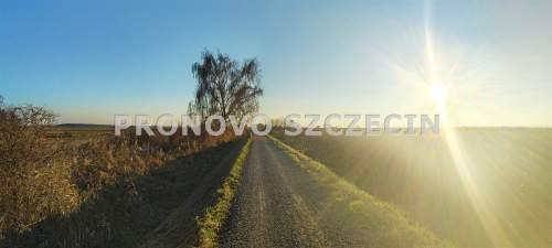 REZERWACJA Lubczyna dom z ogrodem