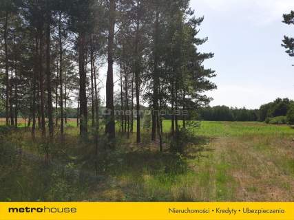 Działka na sprzedaż, 15000 m2, Blinno