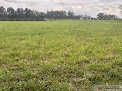 Działka budowlano-zagrodowa  Teodorów, gm. Skórzec