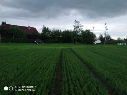 Czernin uzbrojona działka budowlana o pow. 1620 m2