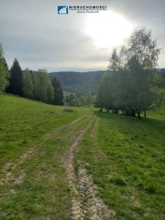 Działki inwestycyjno-budowlane Duszniki-Zdrój, SKI