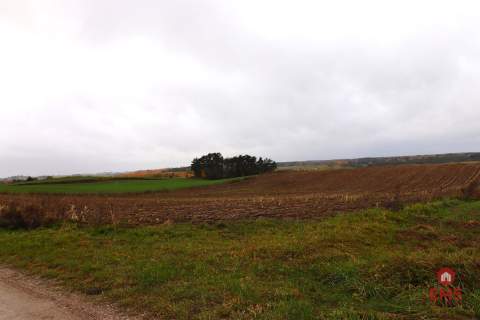 Działka rolno-budowlana - Żegary, gm. Sejny
