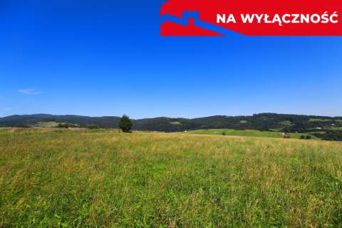 Działka w Grywałdzie 1,1003 ha warunki zabudowy
