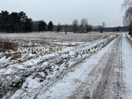 Działka budowlana na sprzedaż, 24000 m2, Jaktorów