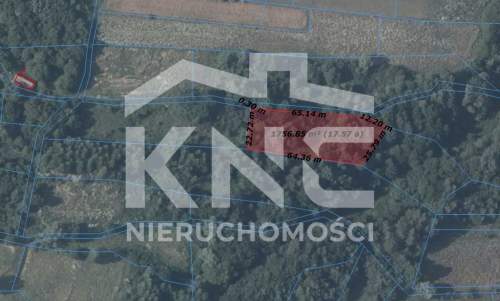 Działki leśne 90a- Nienadowa