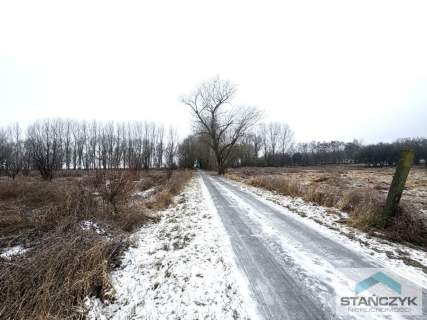 Działka Rolna 7700 m2 - 300 metrów do Zalewu